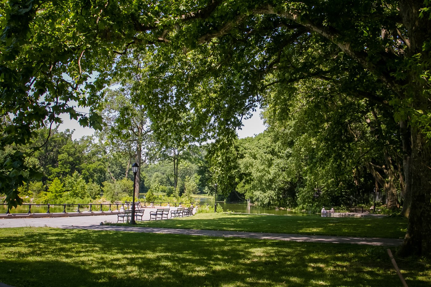 Prospect Park, looking towards the water